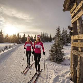 Běžky - tipy na výlet - Boží Dar, Loučná, Pláně, Klínovec, Dlouhá louka, Bublava, Přebuz, Lesná, Pernink, Abertamy, Plešivec