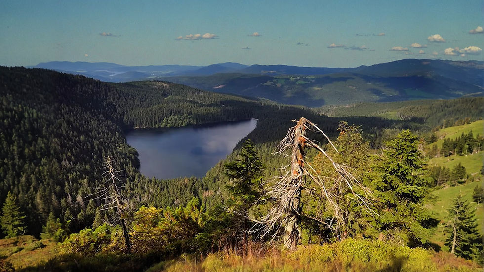 Výlet na Černé jezero cukrárna Sněhurka