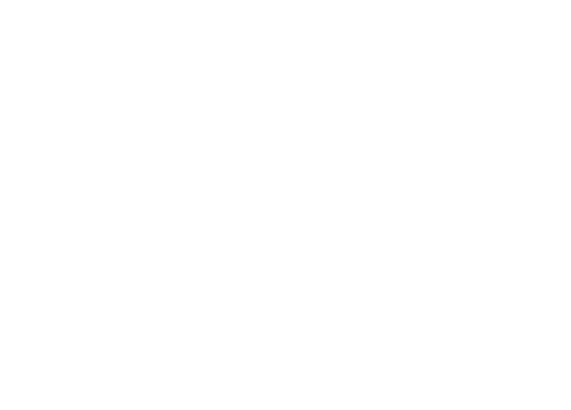 logo Horský signál.webp