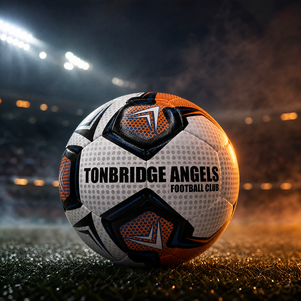 PROFESSIONAL CUSTOM MATCH AND TRAINING FOOTBALLS UK LONDON FOR SCHOOLS VISION FOOTBALL.png