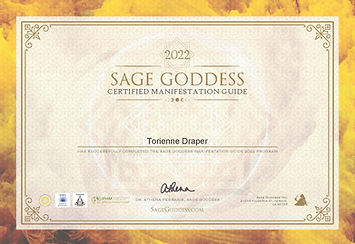 Soul Shift Crystal Healer 2022 Certificates