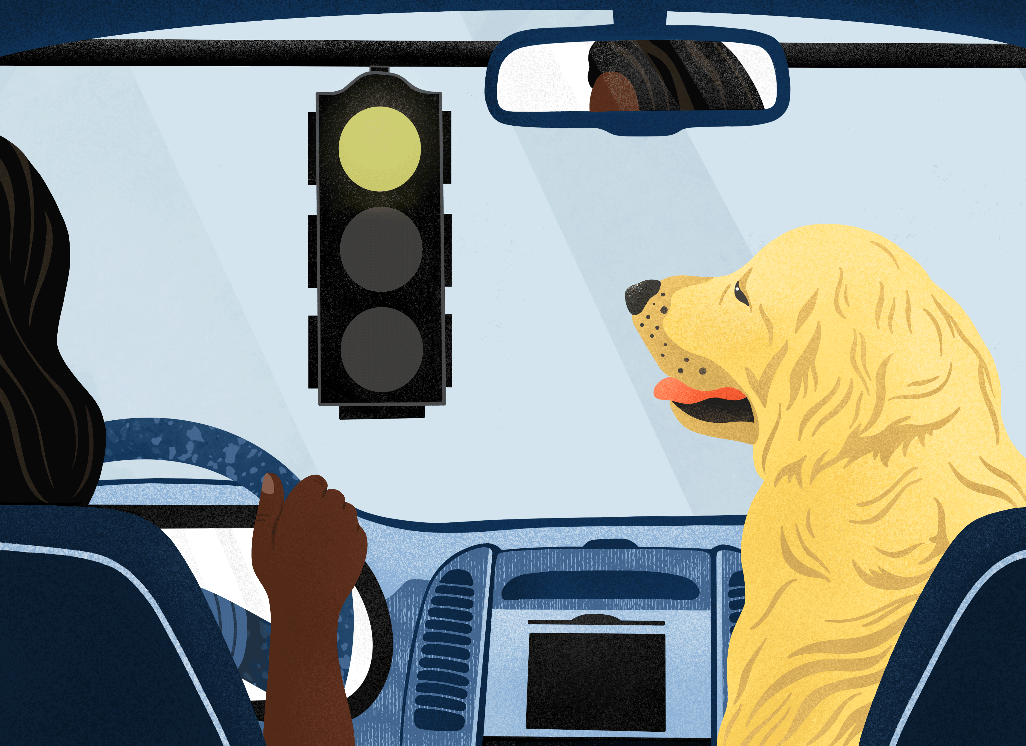 Do Dogs Really Just See in Black and White