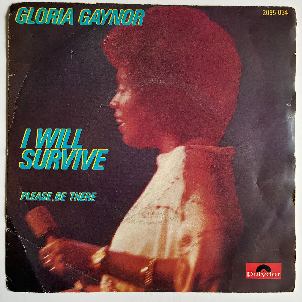 Küçük resim: Gloria Gaynor – I Will Survive - 45'lik