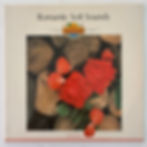 Küçük resim: No Artist – Romantic Soft Sounds - Plak