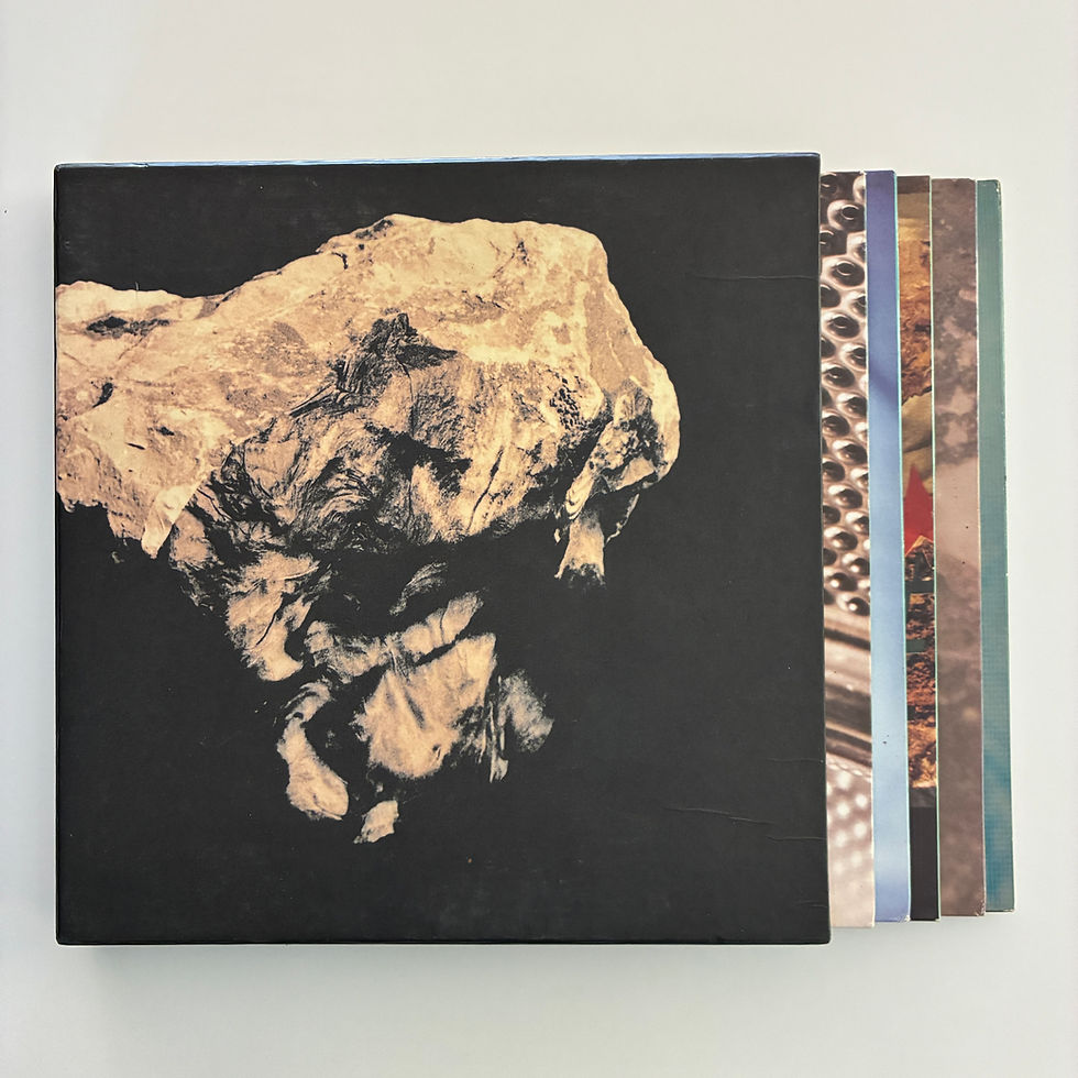 Küçük resim: Pixies – Death To The Pixies - Box Set LP