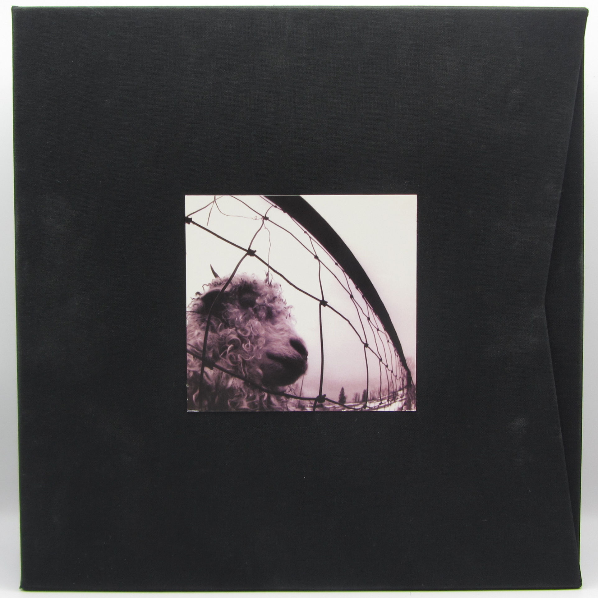 Pearl Jam – Vs. / Vitalogy - Box Set