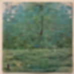 Küçük resim: Joni Mitchell – For The Roses - PLAK