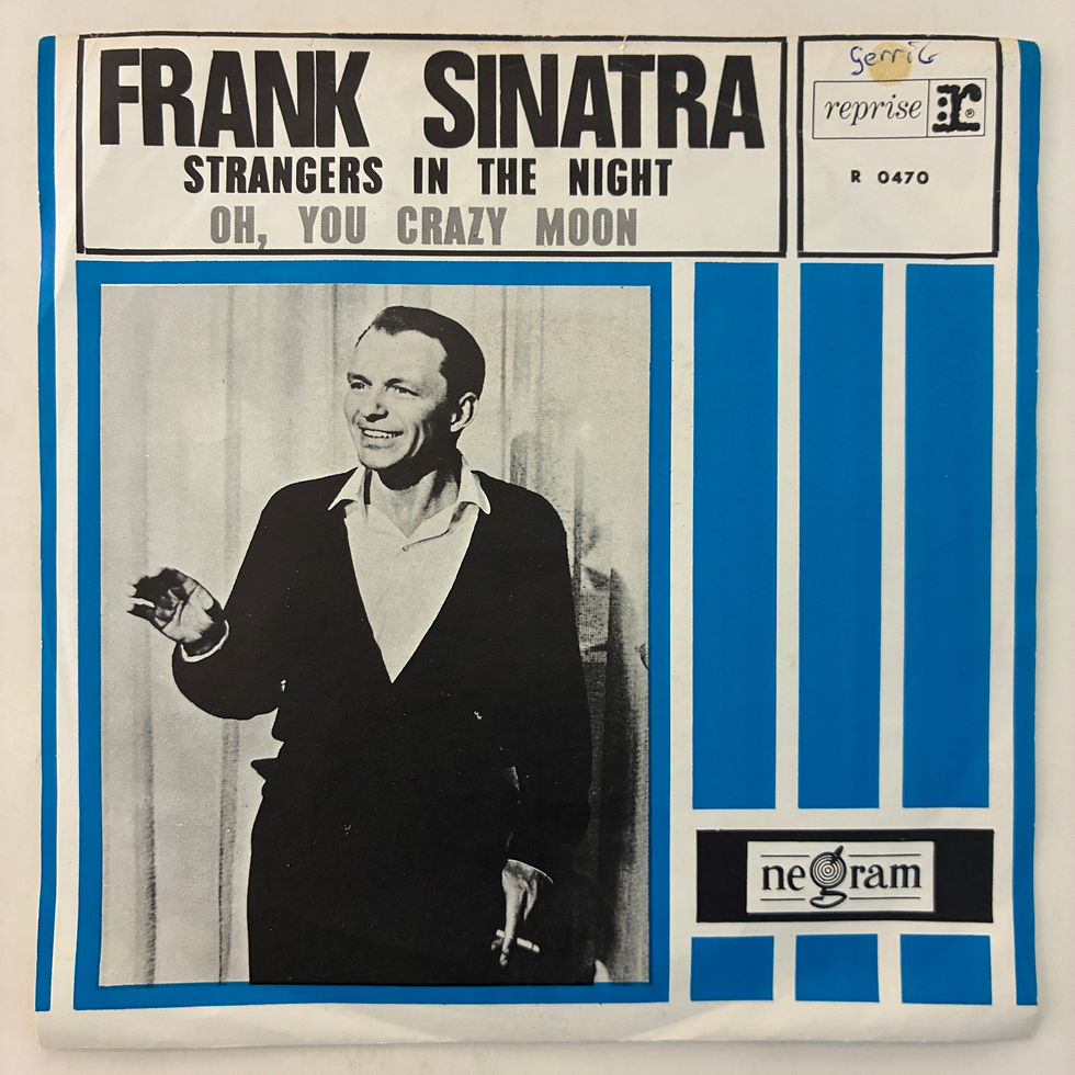 Küçük resim: Frank Sinatra – Strangers In The Night - 45l'ik