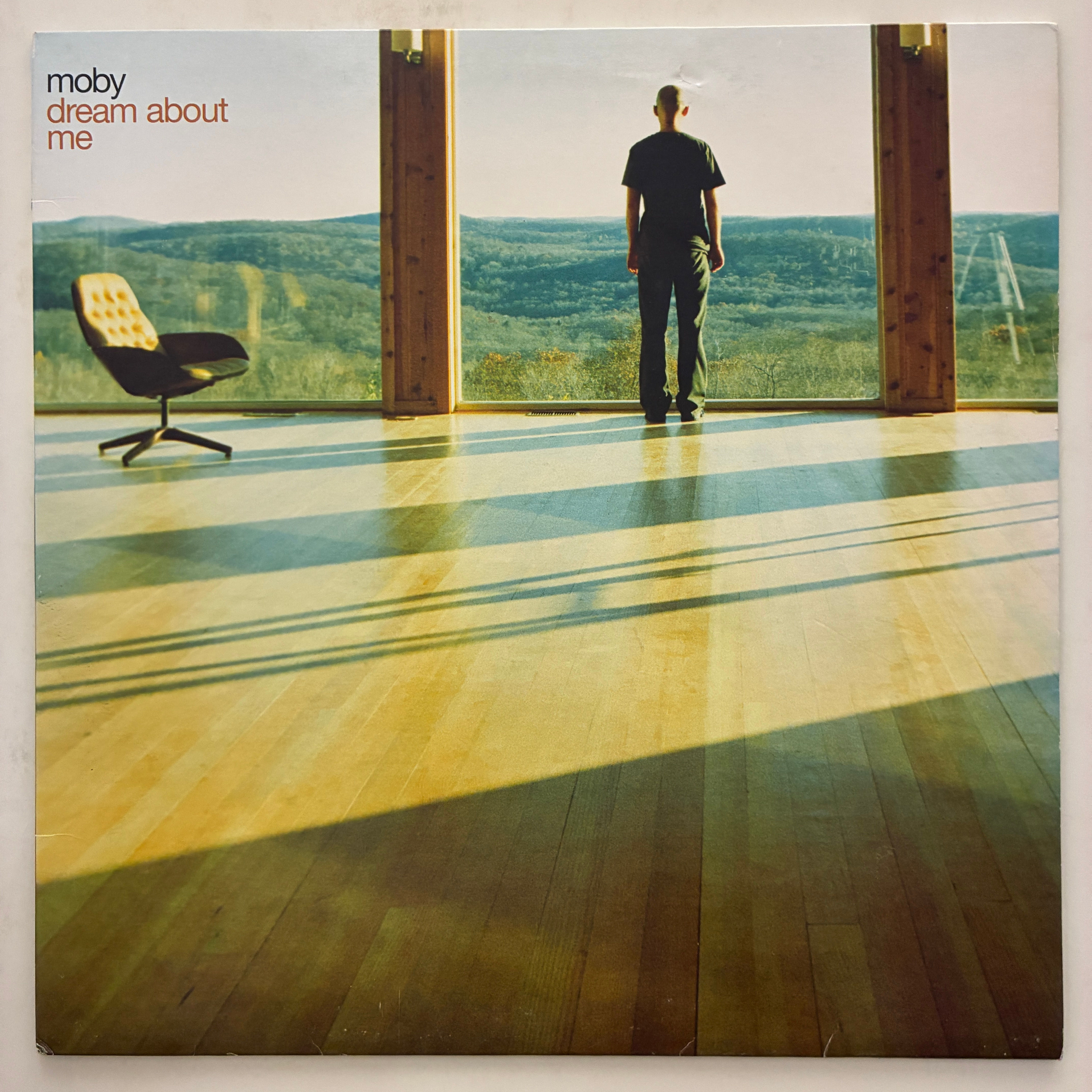 Moby – Dream About Me - PLAK