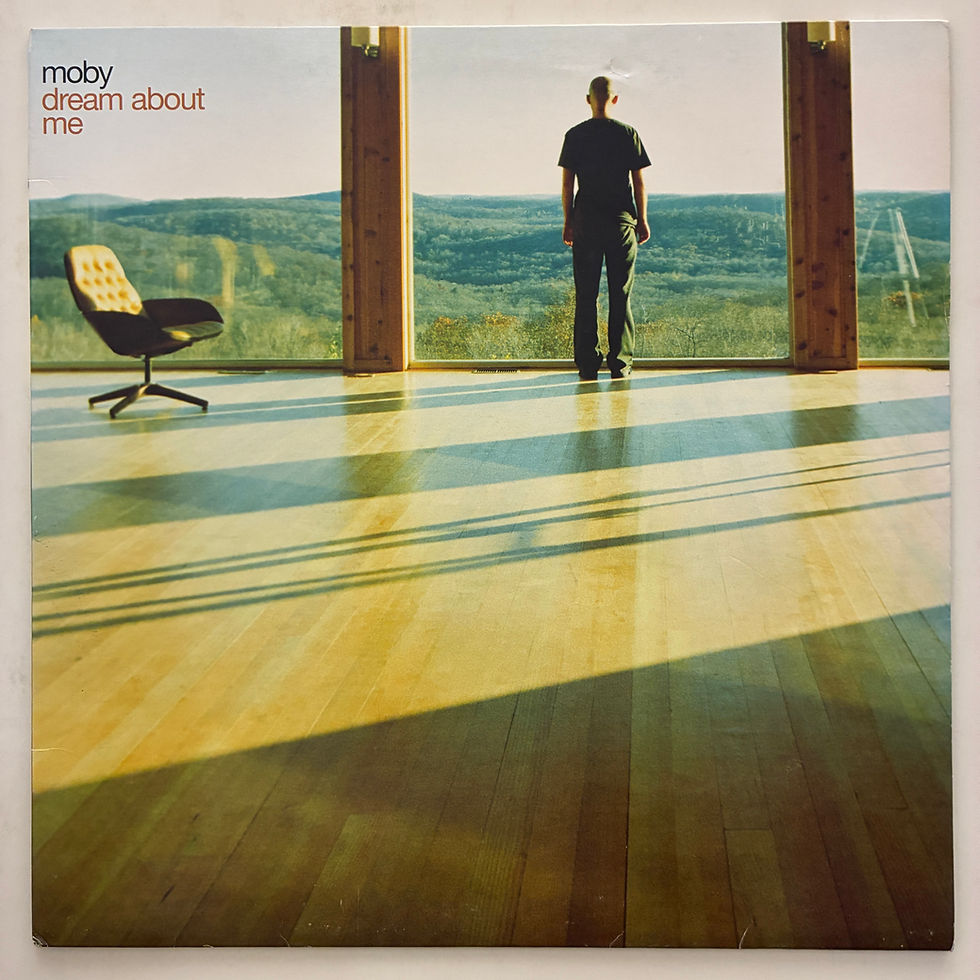 Küçük resim: Moby – Dream About Me - PLAK