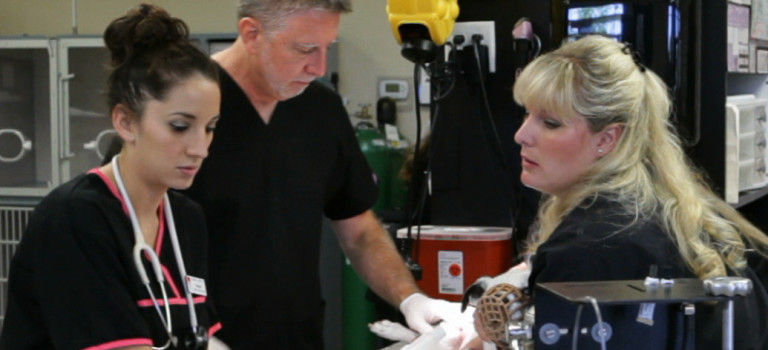 Photography-West_Ridge_Animal_Hospital_CO_302_of_555-e1461605350995-768x862.jpeg