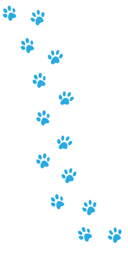 Untitled design (50).png