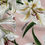Thumbnail: Dolce & Gabbana Floral Skirt