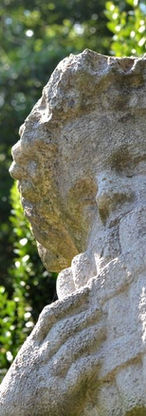 DSC_0126_zpsdymrd9wp (3) (1).jpg