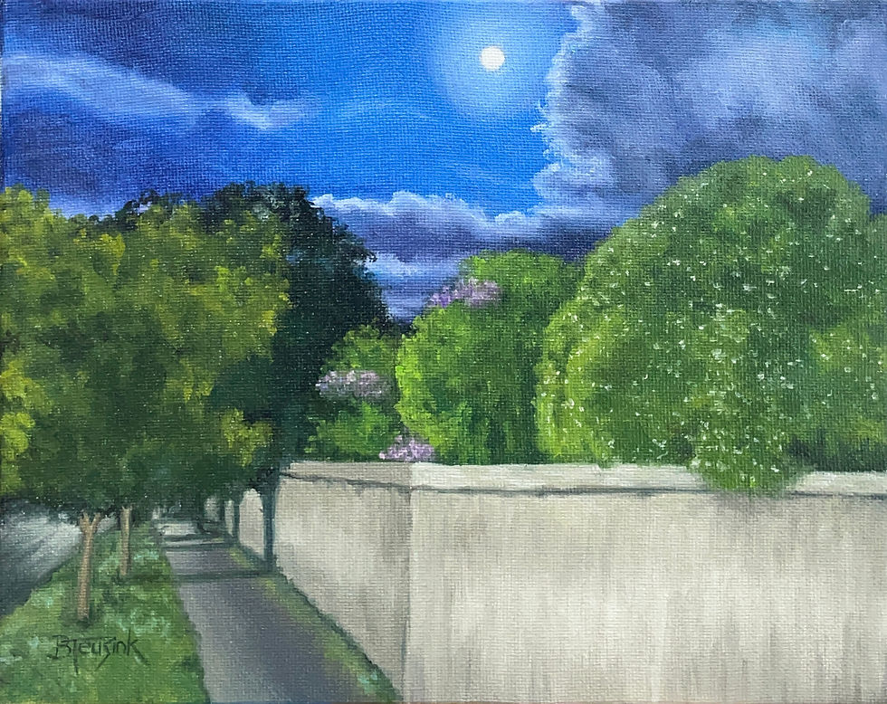 Oil painting of a tropical street at night with a wall, trees and flowers