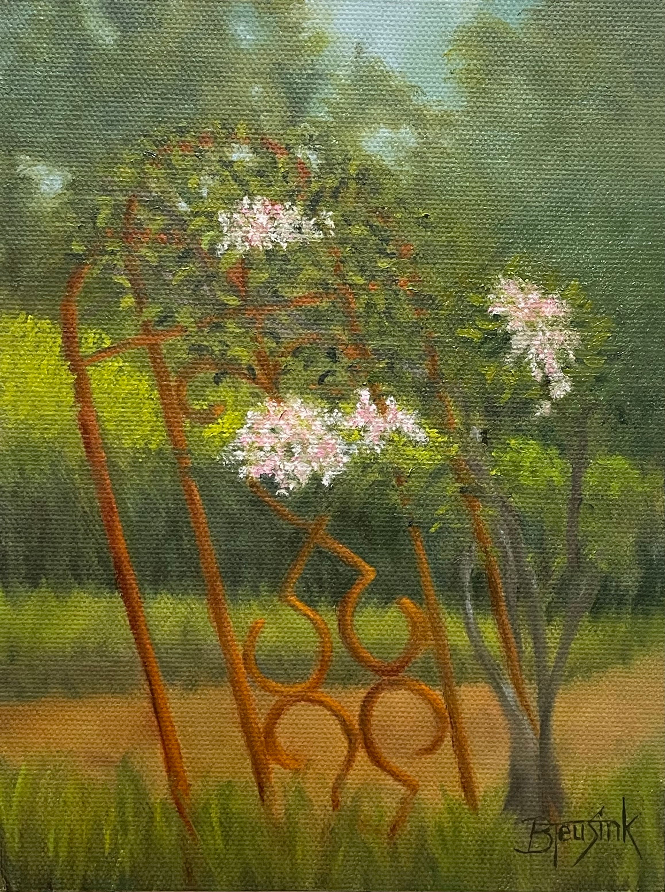 Garden Gate