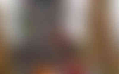 Room with Christmas tree and decorations including group of Ornamental Shadows Series paintings on the wall