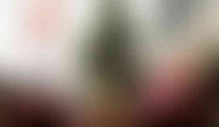 Room with Christmas tree and decorations including group of Ornamental Shadows Series paintings on the wall