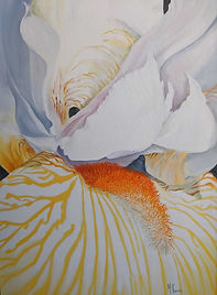 Marjorie Huwa