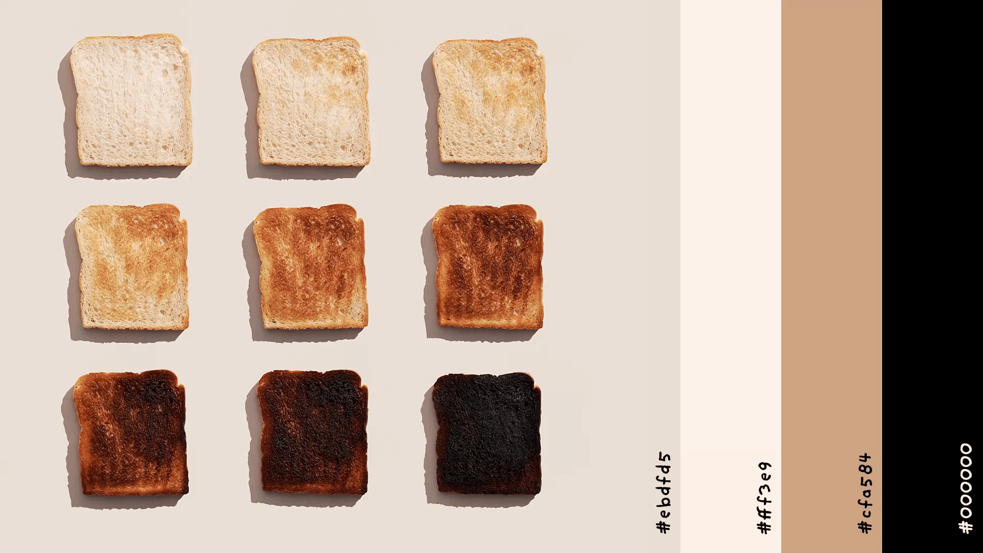 toast animation.gif