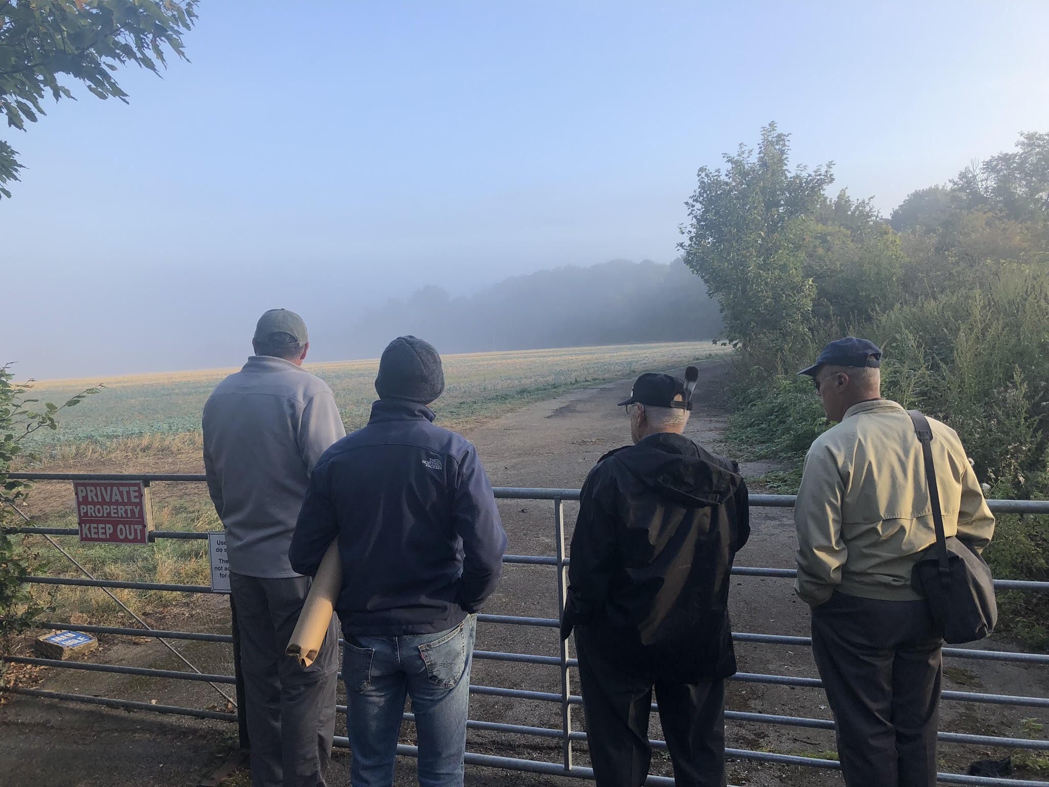 Misty morning