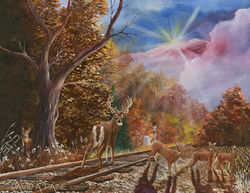 The Wrong Side of the Tracks