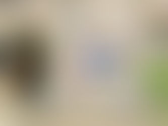 なわてこどもまつり