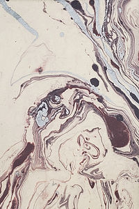 Marbled Lokta