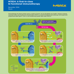 Merck Bi-functional Immunotherapy