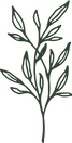 20.png