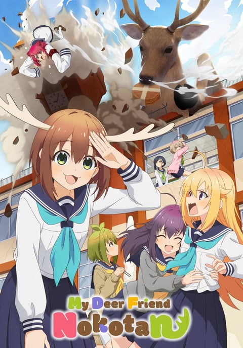 My Deer Friend Nokotan (2024) Complete Archive Collection