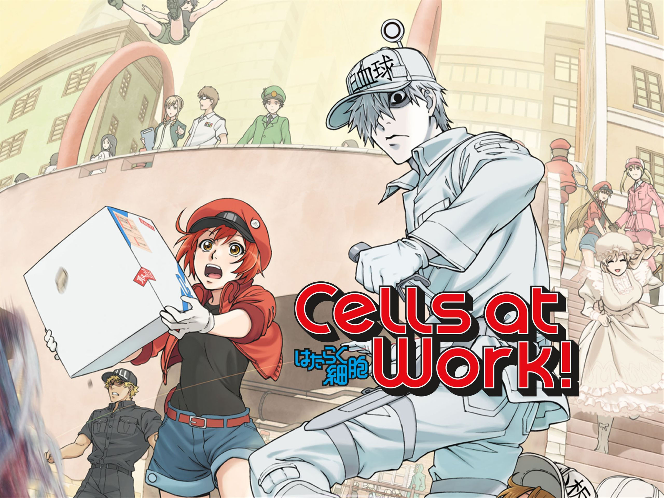 Cells At Work! (2018) Complete Archive Collection