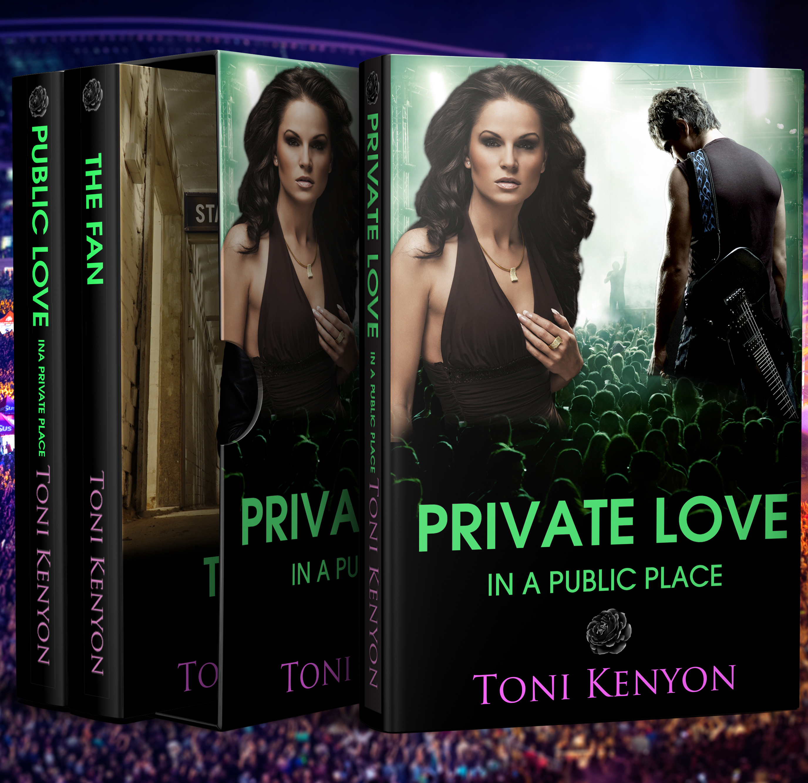 Private Love in a Public Place: (Rockstar Romance)