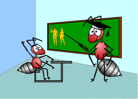 anagrama educacion aim1.gif