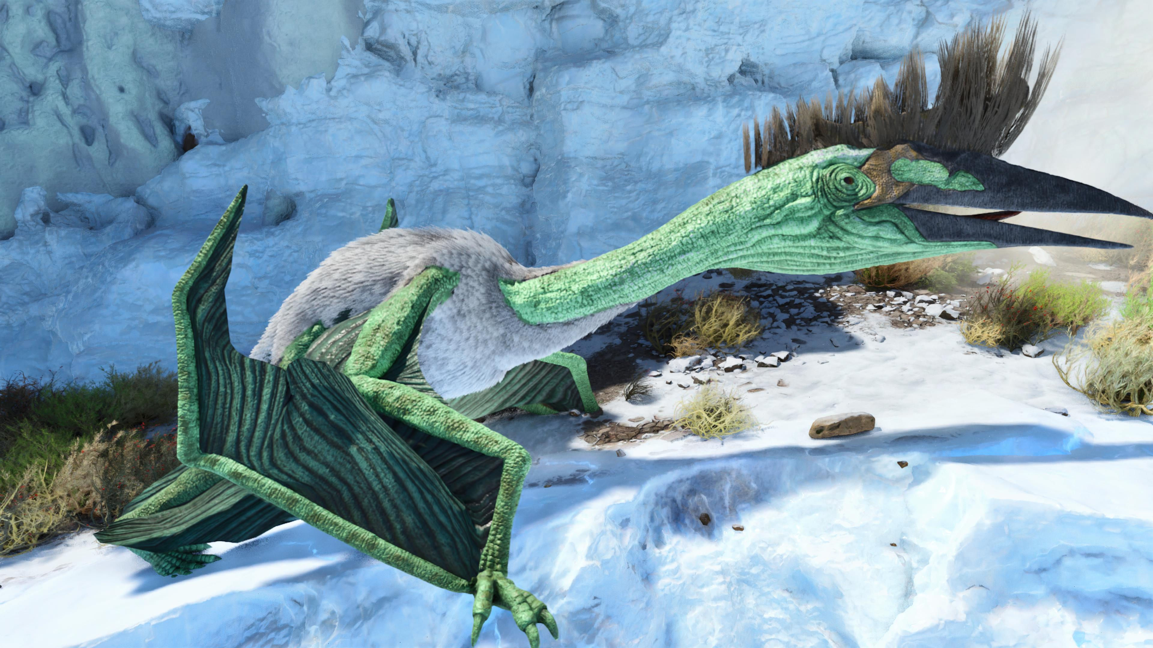 Quetzal [PvP Consoles]