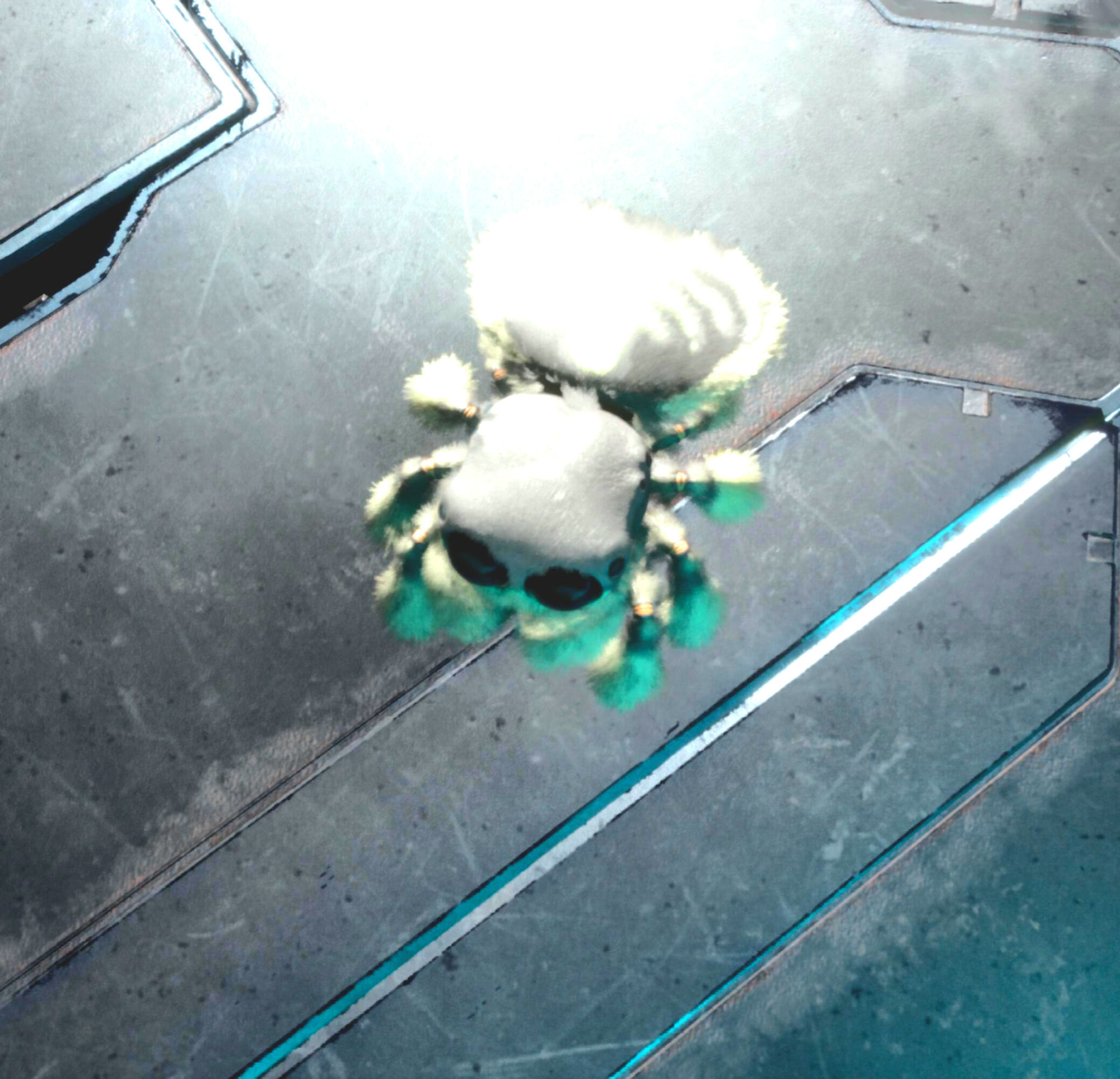 Cosmo (Requires Bob Dlc) [PvP Consoles]