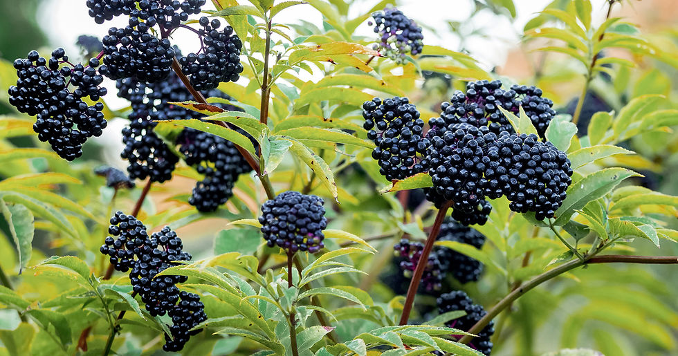 shutterstock_1715913232.jpg