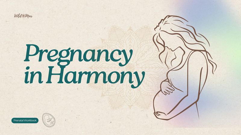 Main banner of the Prenatal Wellness Program that includes Movement & Meditation for the pregnancy journey. 