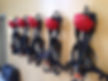 harnesses.JPG