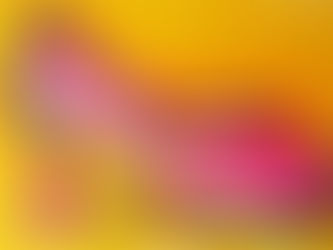 GIFTIGES LEDER. Bangladesch ist zu einem Zentrum für die weltweite Lederproduktion geworden. Jedes J