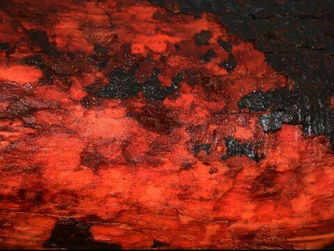 "Vivienne Westwood will nicht mehr über Mode reden, Politik ist ihr wichtiger" (Die Presse