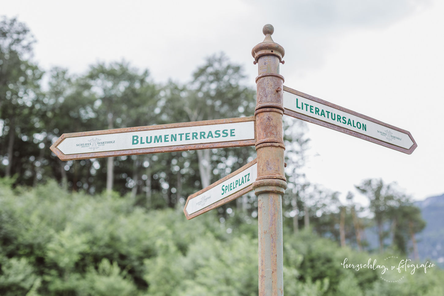 Hochzeit Bianca und Brian 25062022 086.jpg