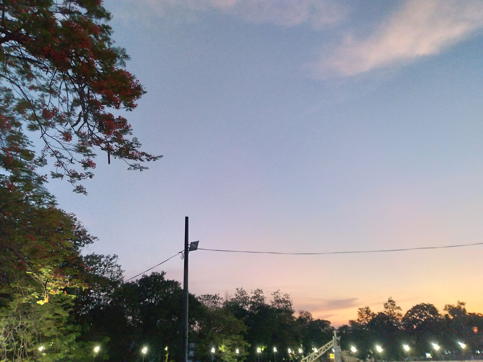 20220614_191254.jpg