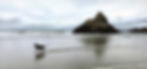 fullsizeoutput_a0_edited_edited_edited.jpg