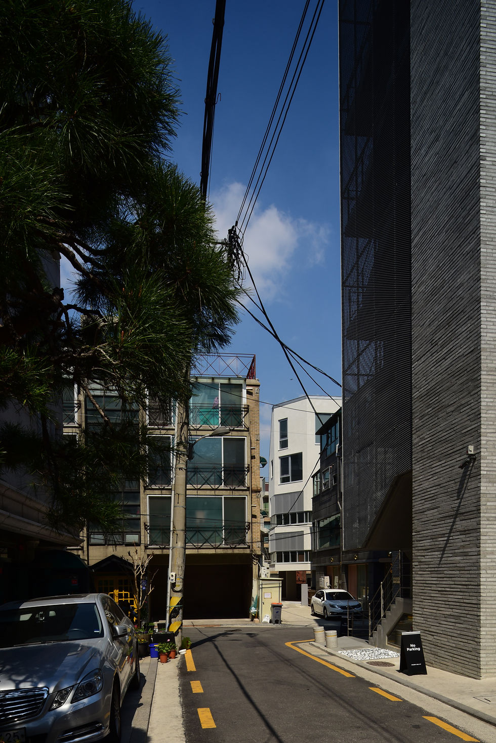 DSC_4545