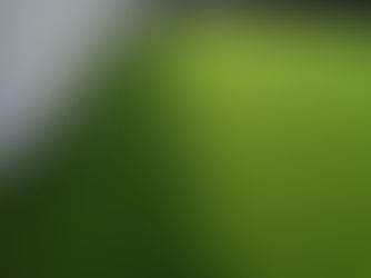 Does Artificial Turf Cause Cancer? Separating Fact from Fear