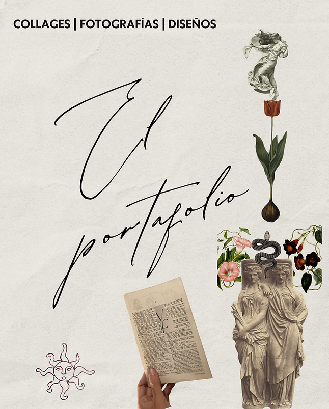 el portafolio.png