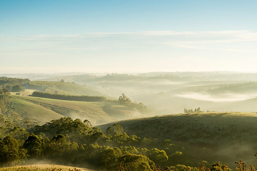 The great ocean road hinterland