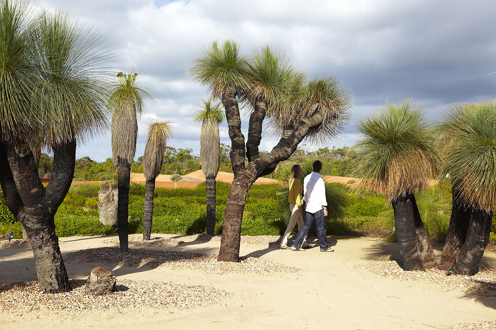 Discovering Cranbourne Royal Botanic Gardens