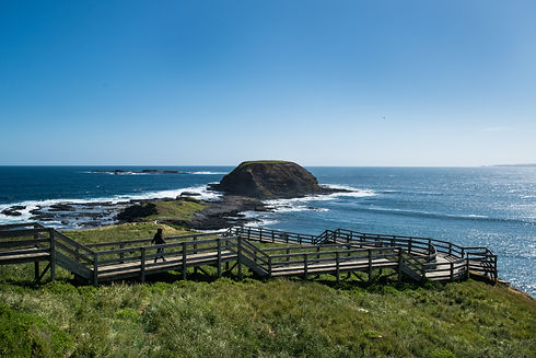 Walking along the Nobbies Boardwalk